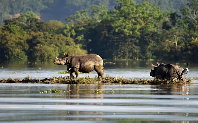 
 7 Taman Nasional: Konservasi Alam yang Menakjubkan di Indonesia